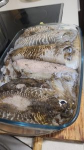 Iniciación a la pesca submarina en A Coruña – Curso práctico y seguro