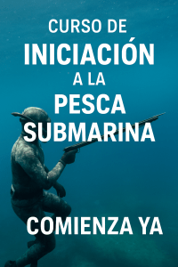 El curso de iniciación a la pesca submarina es el previo al avanzado.