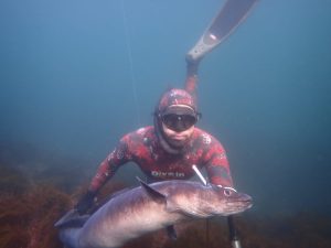 curso pesca submarina principiantes galicia aprender desde cero