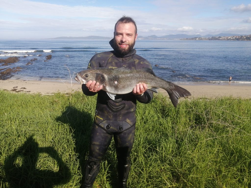 Curso de pesca submarina avanzado, lubinas y especies grandes.